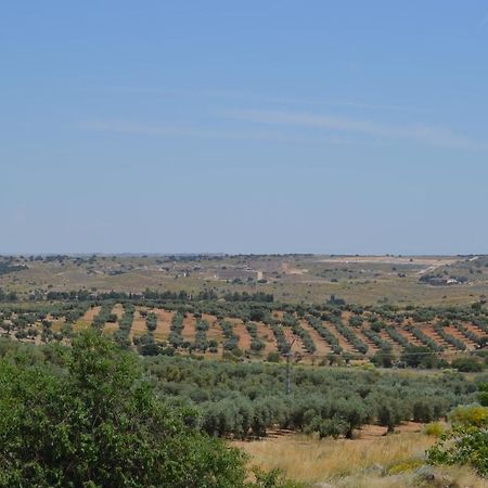 Casa Rural La Finca Guadamur ภายนอก รูปภาพ